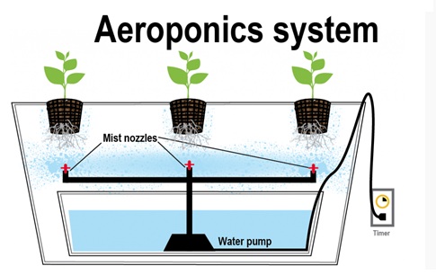 Aeroponics 2 - روش کشت هیدروپونیک 5 – هوا کشت (Aeroponics)