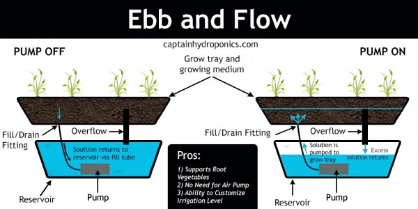 Ebb and Flow 2 - روش کشت هیدروپونیک 3 – جزر و مد