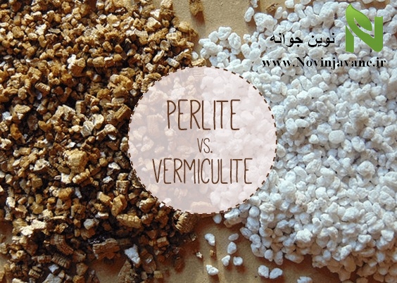 بستر کشت هیدروپونیک با ورمیکو لایت (Vermiculite)