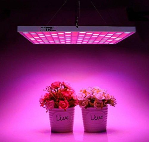 فروش چراغ و لامپ led رشد گیاه برای گیاهان گلخانه