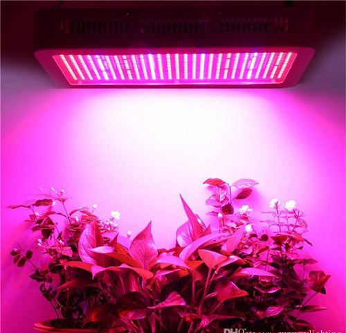 لامپ رشد گیاه, فروش نور روشنایی هیدروپونیک ایروپونیک