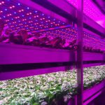 vegetable machine aeroponic hydroponics 2 150x150 - دستگاه تولید سبزیجات هیدروپونیک ایروپونیک