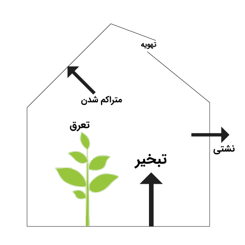 اجزای اصلی محیط گلخانه| عوامل موثر در گلخانه