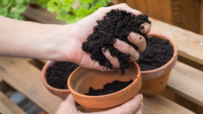 ویژگی های خاک گلخانه برای بهبود کیفیت محصول
