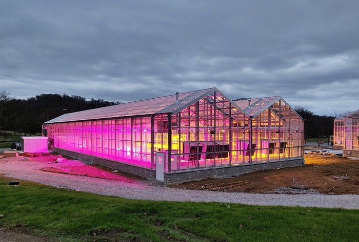 نور مصنوعی در گلخانه و استفاده از لامپ رشد گیاه برای نورپردازی